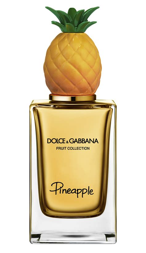 roupas da dolce gabbana|dolce and gabbana unisex perfume.